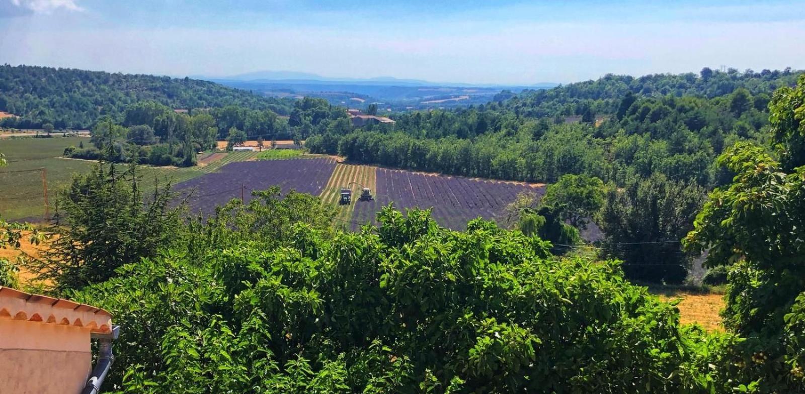 La Ferme Du Petit Segries Bed And Breakfast Moustiers-Sainte-Marie Luaran gambar