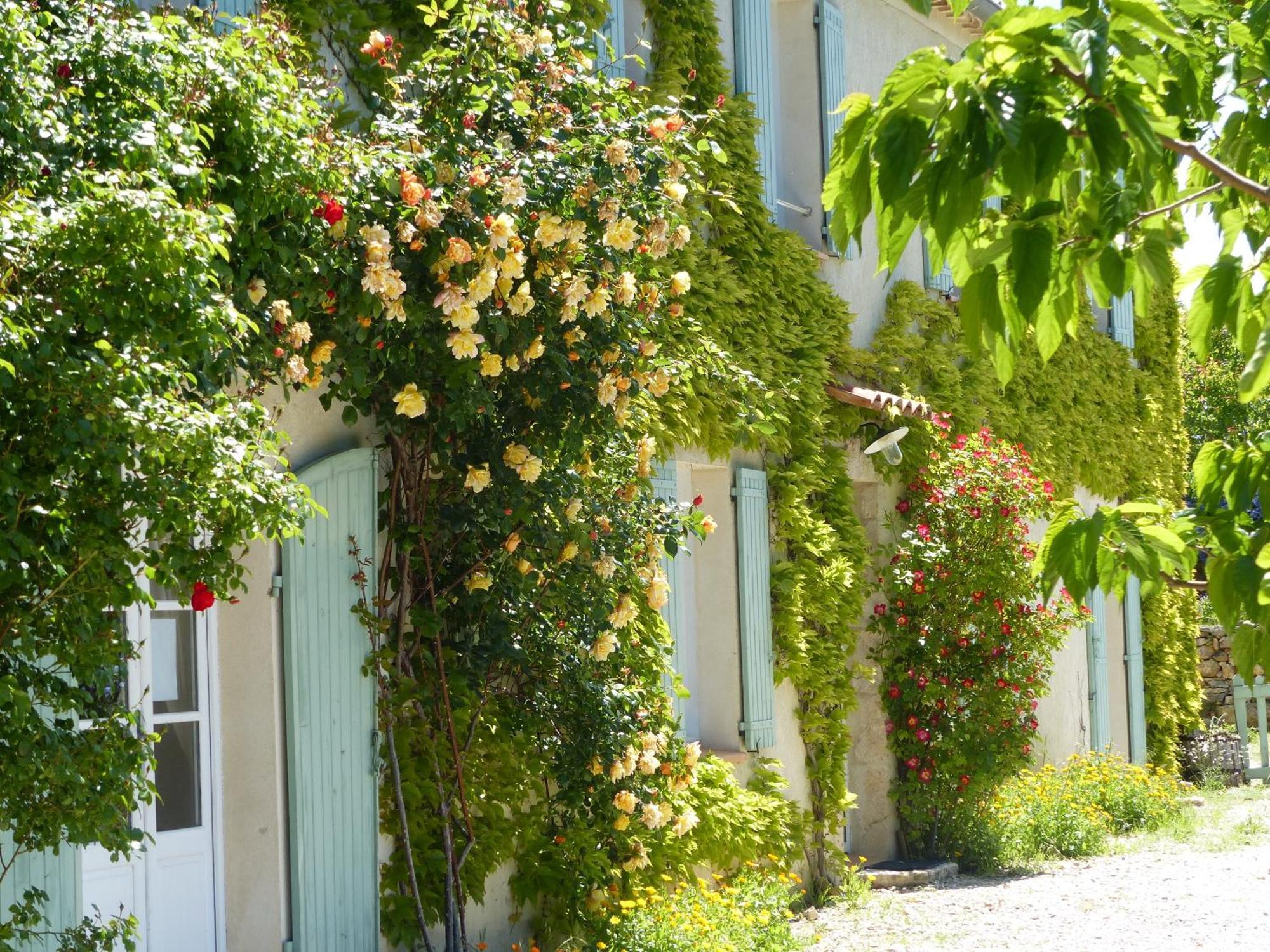 La Ferme Du Petit Segries Bed And Breakfast Moustiers-Sainte-Marie Bilik gambar