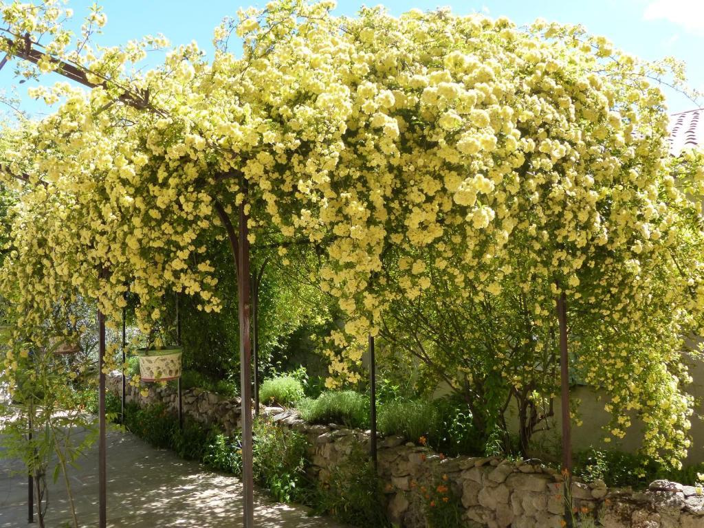 La Ferme Du Petit Segries Bed And Breakfast Moustiers-Sainte-Marie Luaran gambar